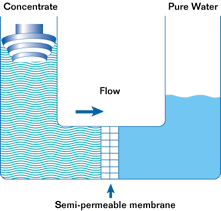 Image - Thẩm thấu ngược